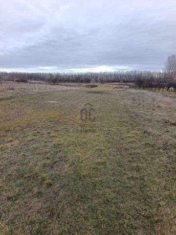 Eladó mezogazdasagi ingatlan, Budapesten, XVII. kerületben 3.9 M Ft