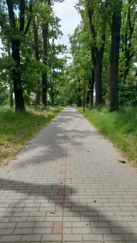 Eladó garázs, Szentesen 6.9 M Ft / költözzbe.hu