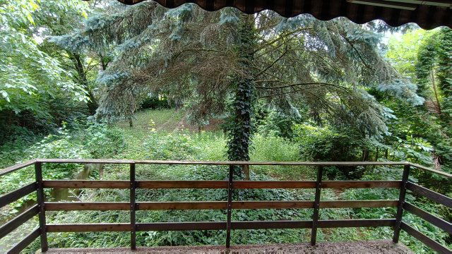 Eladó telek, Remeteszőlősön, Nagykovácsi úton 73 M Ft