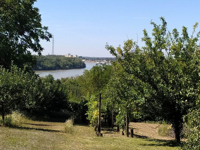 Eladó családi ház, Mohácson 29.5 M Ft, 1 szobás