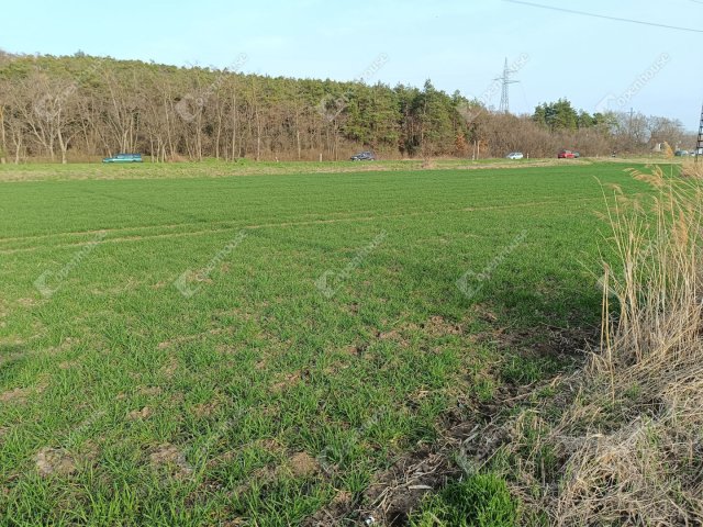 Eladó telek, Sopronban 22 M Ft / költözzbe.hu