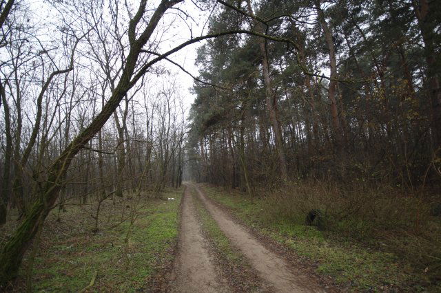 Eladó telek, Debrecenben 4.7 M Ft / költözzbe.hu