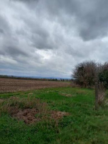 Eladó mezogazdasagi ingatlan, Balatonszabadiban 28 M Ft