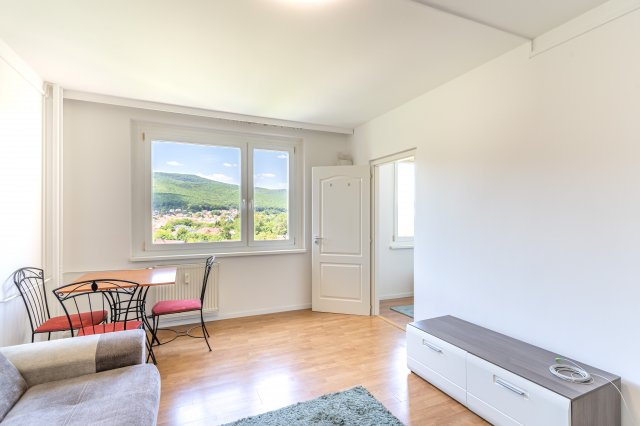 Kiadó panellakás, albérlet, Miskolcon 110 E Ft / hó, 1+1 szobás