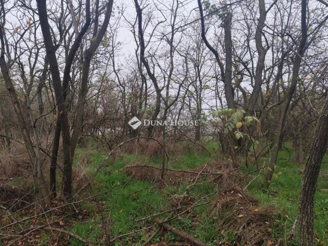 Eladó mezogazdasagi ingatlan, Alsónémediben 159.9 M Ft, 5 szobás