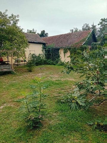 Eladó családi ház, Mezőberényben, Galilei utcában 31.5 M Ft