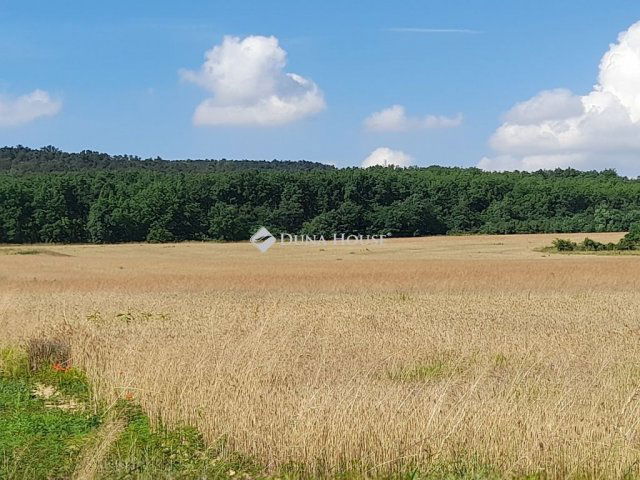 Eladó telek, Isaszegen, Ady Endre utcában 105 M Ft