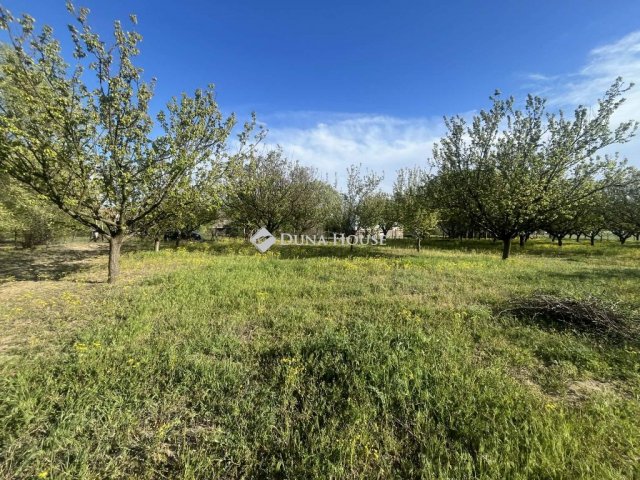 Eladó telek, Helvécián 5.99 M Ft / költözzbe.hu