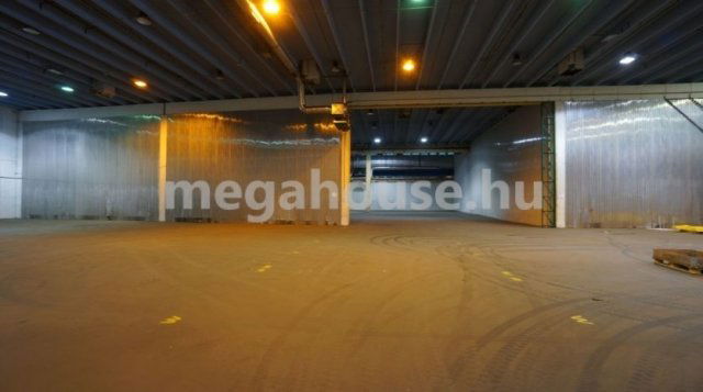 Kiadó ipari ingatlan, Budaörsön 687 E Ft / hó