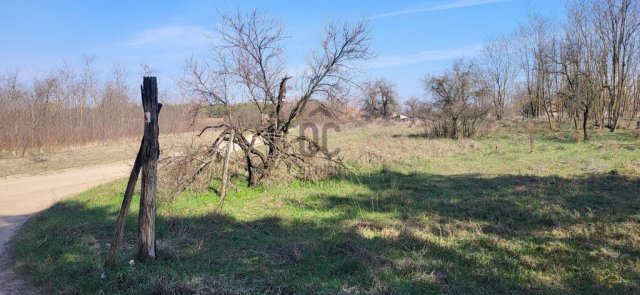 Eladó mezogazdasagi ingatlan, Csévharaszton 3.5 M Ft