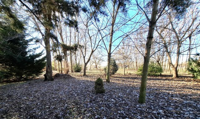 Eladó családi ház, Tápiószelén 22.9 M Ft, 2 szobás