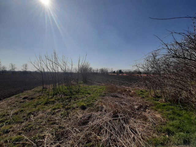 Eladó családi ház, Tárkányban 8.5 M Ft, 2 szobás