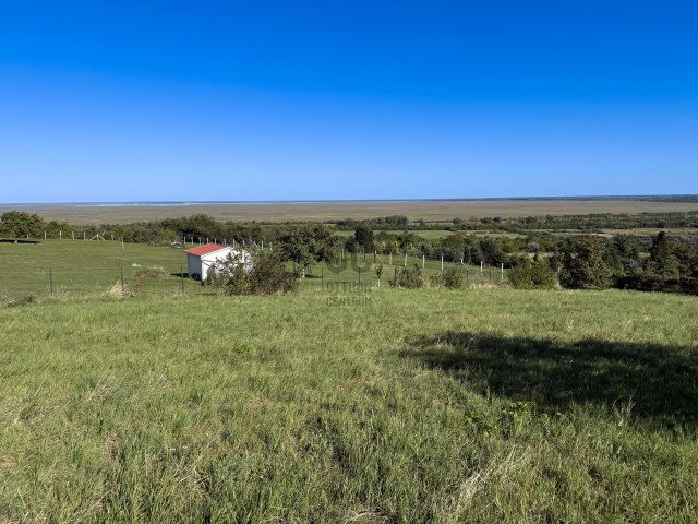 Eladó telek, Sopronban 6.5 M Ft / költözzbe.hu