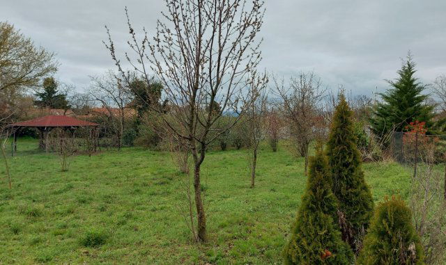 Eladó telek, Zamárdiban 75 M Ft / költözzbe.hu