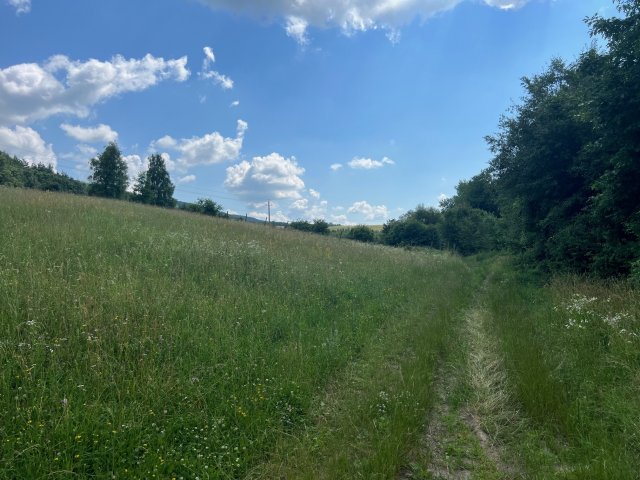 Eladó telek, Szilvásváradon 12.6 M Ft / költözzbe.hu