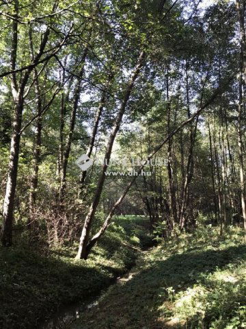 Eladó telek, Bagodon 12.49 M Ft / költözzbe.hu