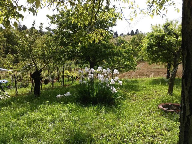 Eladó telek, Zalaegerszegen 2.49 M Ft / költözzbe.hu