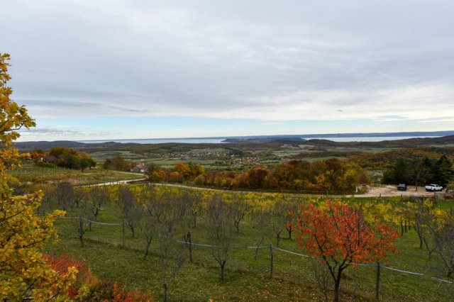 Eladó telek, Pécselyen 19.99 M Ft / költözzbe.hu