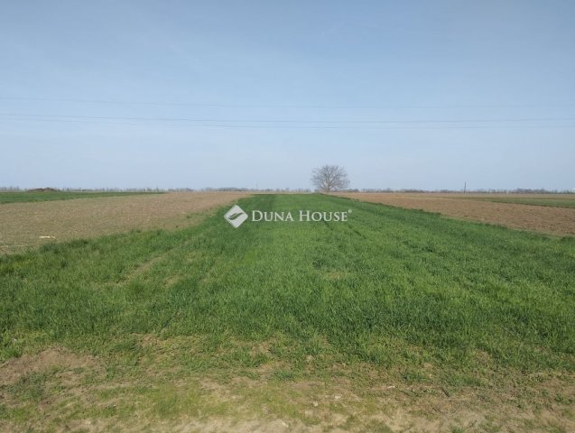 Eladó telek, Polgárdin 10.8 M Ft / költözzbe.hu