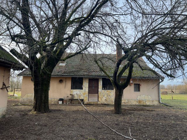 Eladó mezogazdasagi ingatlan, Szatymazon 24.9 M Ft