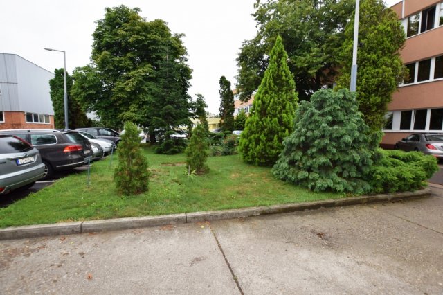 Kiadó iroda, Debrecenben 53 E Ft / hó, 1 szobás