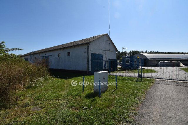 Eladó mezogazdasagi ingatlan, Tiszacsegén 43.496 M Ft
