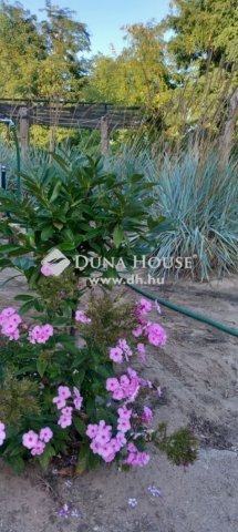 Eladó családi ház, Kecskeméten 74.9 M Ft, 4 szobás