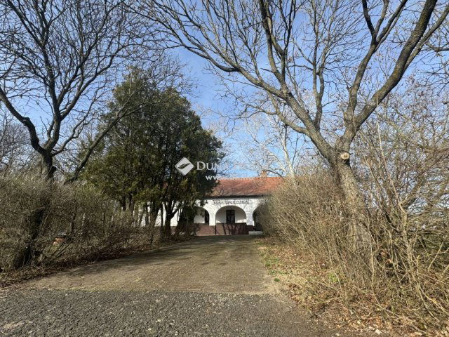 Eladó üzlethelyiség, Balmazújvárosban 159 M Ft