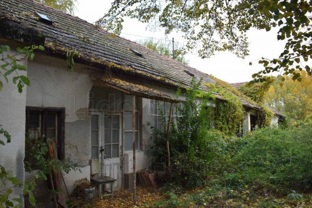 Eladó családi ház, Veszprémvarsányon 20 M Ft, 4 szobás