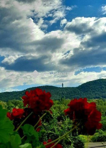 Eladó ikerház, Budapesten, III. kerületben 202 M Ft, 3 szobás