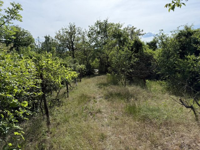 Eladó telek, Biatorbágyon 20.9 M Ft / költözzbe.hu