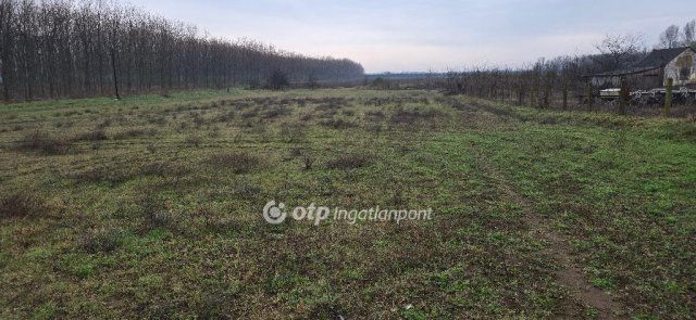 Eladó mezogazdasagi ingatlan, Ebesen 54.9 M Ft