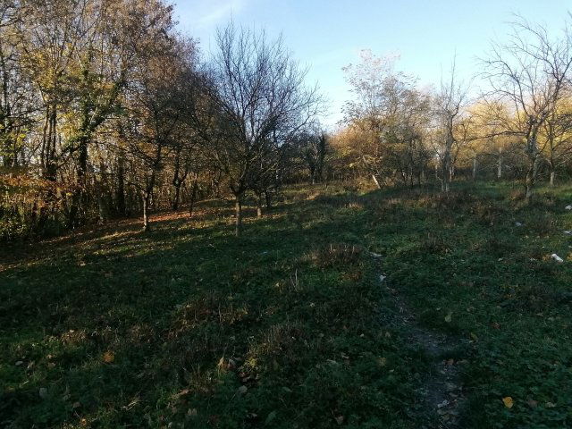 Eladó telek, Nagykutason 8 M Ft / költözzbe.hu