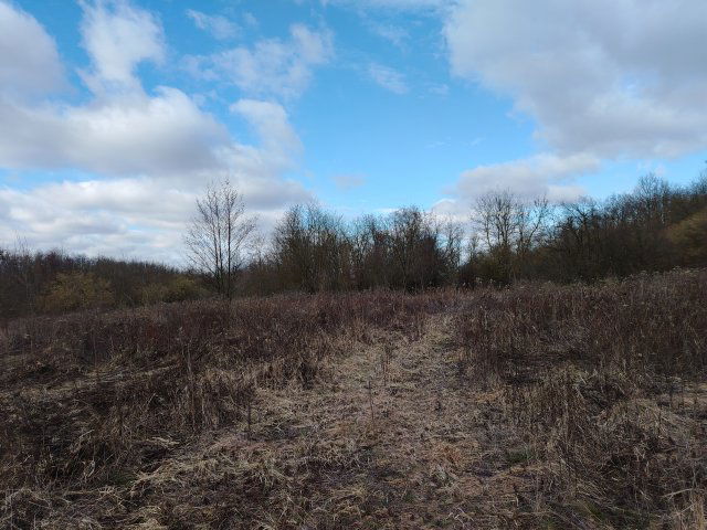 Eladó telek, Kisasszondon 3.5 M Ft / költözzbe.hu