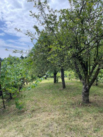 Eladó családi ház, Pilisvörösváron 49.9 M Ft, 2 szobás