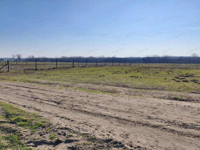 Eladó mezogazdasagi ingatlan, Budapesten, XVII. kerületben