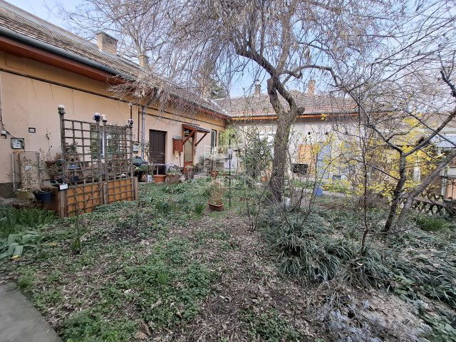 Eladó téglalakás, Budapesten, XV. kerületben 40.9 M Ft, 1 szobás