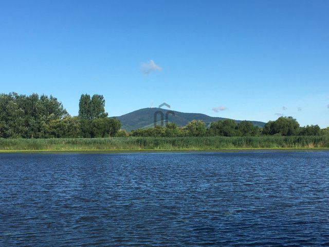 Eladó családi ház, Tiszaeszláron 20 M Ft, 4 szobás