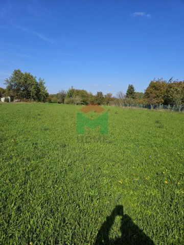 Eladó mezogazdasagi ingatlan, Marcaliban 2.98 M Ft