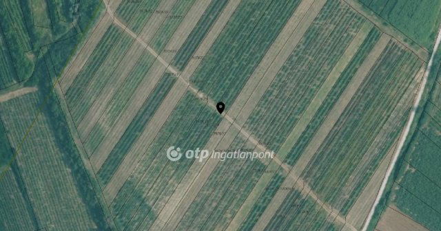 Eladó mezogazdasagi ingatlan, Tarcalon 189.99 M Ft