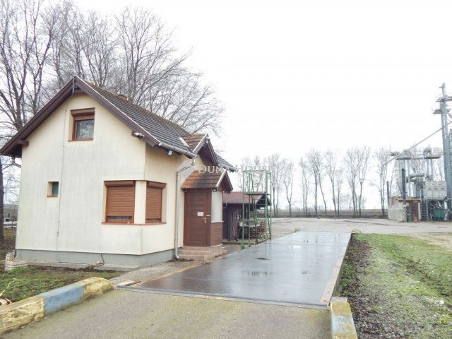 Eladó mezogazdasagi ingatlan, Kálozon 400 M Ft