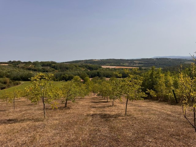 Eladó nyaraló, Zalaszentgróton 22.9 M Ft, 3 szobás