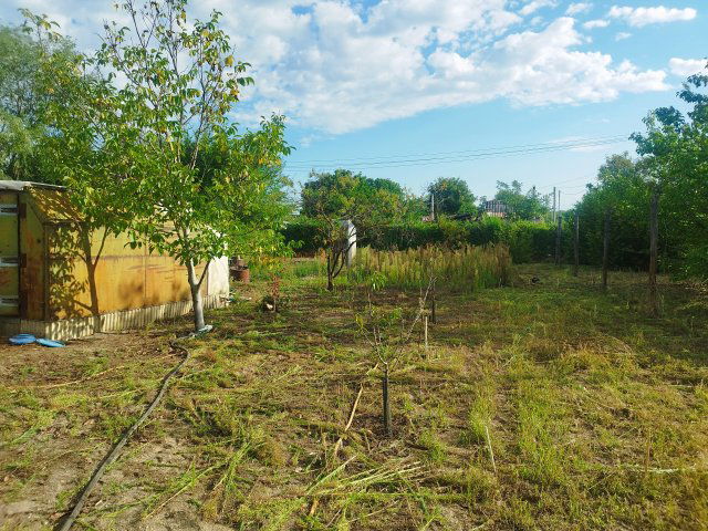 Eladó mezogazdasagi ingatlan, Nagykőrösön 3.5 M Ft