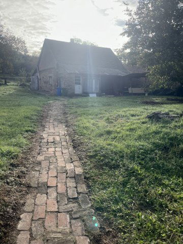 Eladó családi ház, Csikóstőttősön 6.5 M Ft, 1 szobás