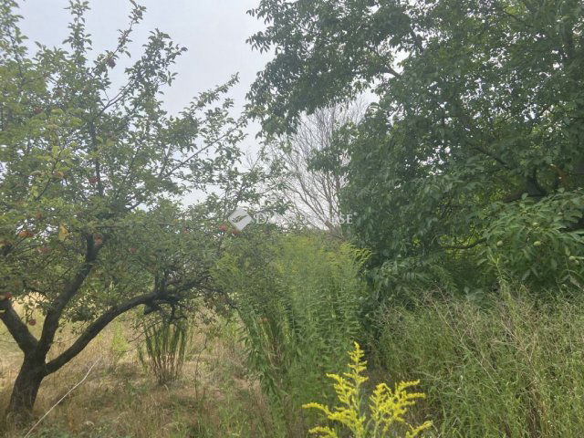 Eladó telek, Kajászón 55 M Ft / költözzbe.hu