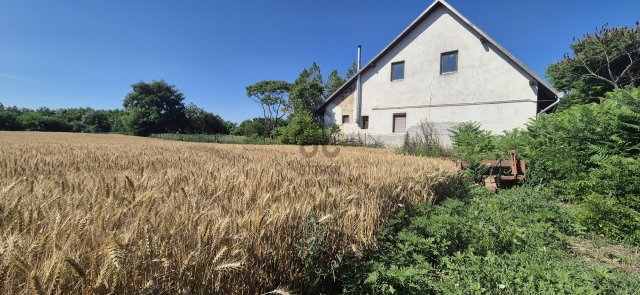 Eladó családi ház, Tiszacsegén 30 M Ft, 3 szobás