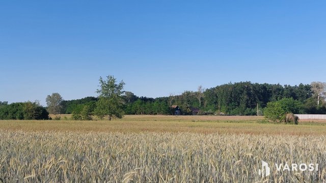 Eladó mezogazdasagi ingatlan, Debrecenben 38 M Ft, 1+1 szobás
