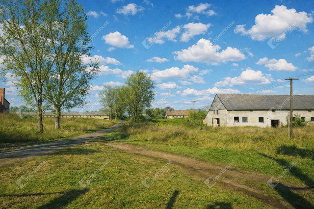 Eladó mezogazdasagi ingatlan, Bodajkon 95.25 M Ft