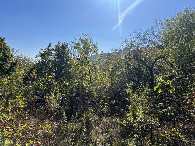 Eladó telek, Budapesten, III. kerületben, Aranyvölgy utcában