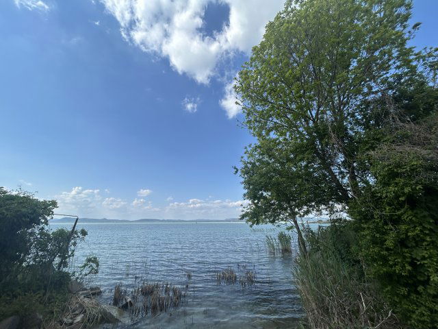 Eladó családi ház, Balatonbogláron 145 M Ft, 8 szobás